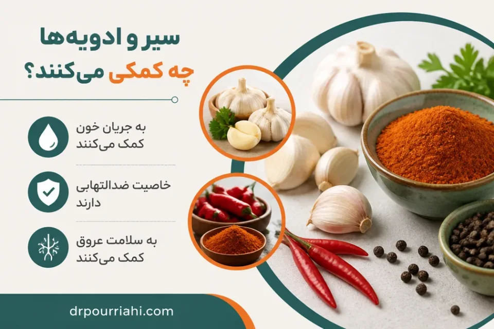 نمای توضیحی درباره سیر و ادویهها چه کمکی میکنند